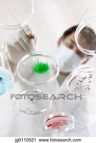 Stock Image - Male doctor testing in lab. Fotosearch