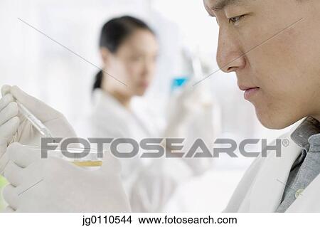 Picture - Male scientist holding a Petri dish. Fotosearch