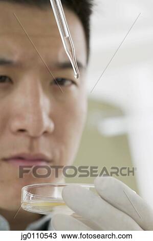 Stock Image - Male scientist holding a Petri dish. Fotosearch