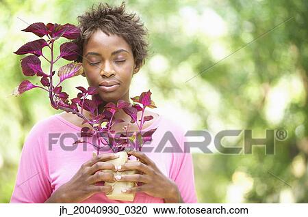Portrait of a young woman holding a plant with her eyes closed View Large Photo Image Stock Image - Portrait of a young woman holding a plant with her eyes closed. Fotosearch