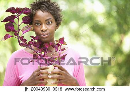 Portrait of a young woman holding a plant View Large Photo Image Stock Photo - Portrait of a young woman holding a plant. Fotosearch