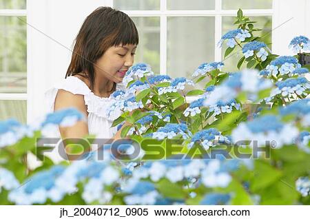 Teenage girl standing behind a flowering bush View Large Photo Image Stock Photography - Teenage girl standing behind a flowering bush. Fotosearch