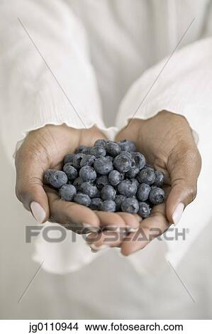 Woman's hands holding blueberries View Large Photo Image Picture - Woman's hands holding blueberries. Fotosearch