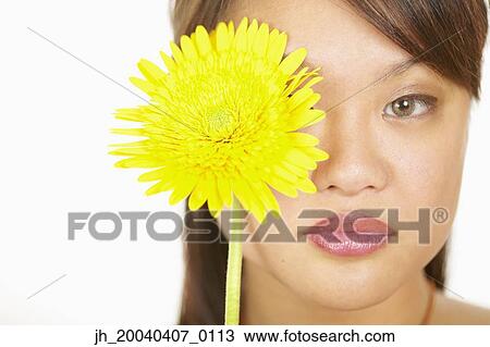 Portrait of a young woman holding a flower in front of her face View Large Photo Image Stock Image - Portrait of a young woman holding a flower in front of her face. Fotosearch