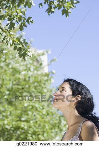 Young woman looking at tree View Large Photo Image Stock Image - Young woman looking at tree. Fotosearch