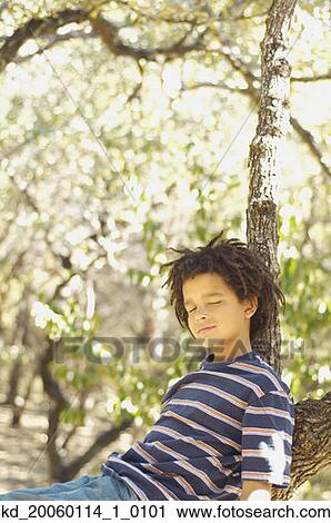 Stock Image - Young boy asleep in a tree. Fotosearch