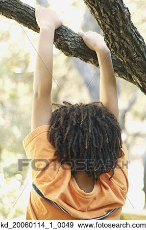 Young boy hanging from a tree branch View Large Photo Image Stock Photo - Young boy hanging from a tree branch. Fotosearch