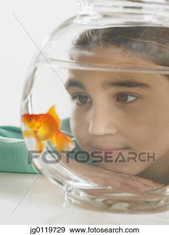 Young girl watching a goldfish in a fishbowl View Large Photo Image Stock Photo - Young girl watching a goldfish in a fishbowl. Fotosearch