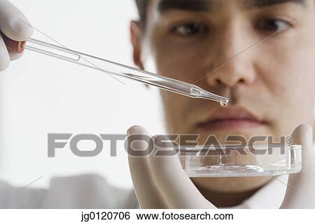 Scientist dropping chemicals into a Petri dish View Large Photo Image Stock Photograph - Scientist dropping chemicals into a Petri dish. Fotosearch