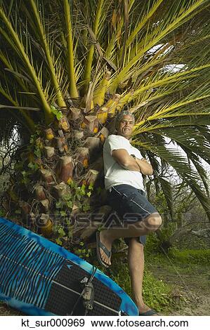 Senior man leaning against a palm tree next to a surfboard, Oakland, California, United States View Large Photo Image Stock Photo - Senior man leaning against a palm tree next to a surfboard, Oakland, California, United States. Fotosearch