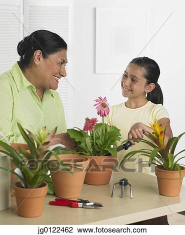 Stock Image - Hispanic grandmother and granddaughter gardening indoors. Fotosearch