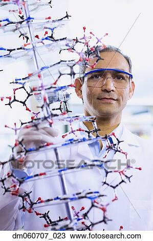 Indian male scientist holding DNA model View Large Photo Image Stock Image - Indian male scientist holding DNA model. Fotosearch