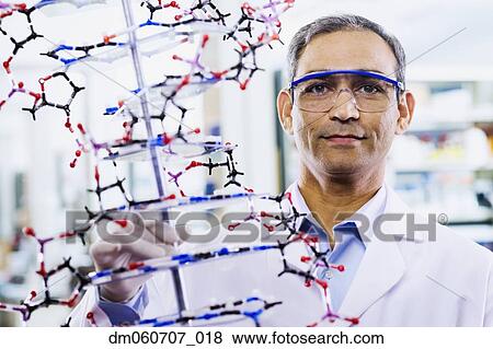 Indian male scientist holding DNA model View Large Photo Image Stock Photo - Indian male scientist holding DNA model. Fotosearch