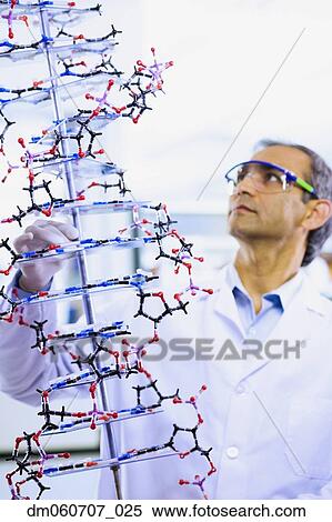 Stock Photography - Indian male scientist holding DNA model. Fotosearch