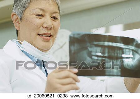 Senior Asian female dentist looking at x-rays View Large Photo Image Stock Photo - Senior Asian female dentist looking at x-rays. Fotosearch