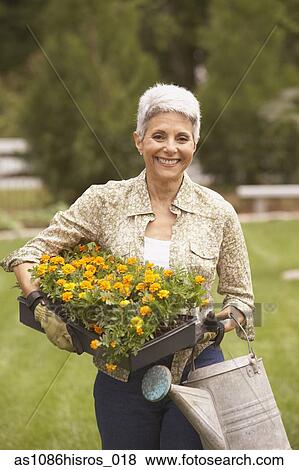 Picture - Senior Hispanic woman gardening. Fotosearch - Search Stock Photos, Images, Print Photographs, and Photo Clip Art