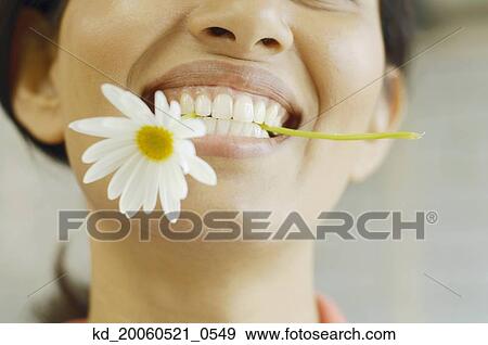 Woman smiling with flower in her teeth View Large Photo Image Stock Photo - Woman smiling with flower in her teeth. Fotosearch