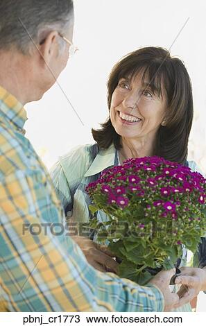 Senior man giving wife flowers View Large Photo Image Stock Image - Senior man giving wife flowers. Fotosearch