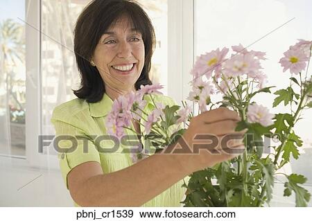 Senior woman arranging flowers in vase View Large Photo Image Stock Photo - Senior woman arranging flowers in vase. Fotosearch