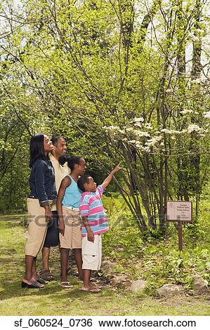 African family pointing at tree on nature trail View Large Photo Image Stock Photograph - African family pointing at tree on nature trail. Fotosearch