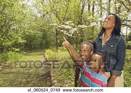 African mother and children exploring in park View Large Photo Image Stock Photo - African mother and children exploring in park. Fotosearch
