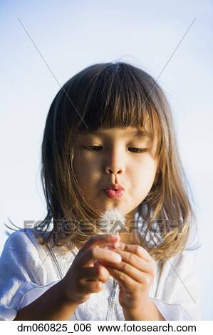 Asian girl blowing a dandelion View Large Photo Image Stock Photograph - Asian girl blowing a dandelion. Fotosearch