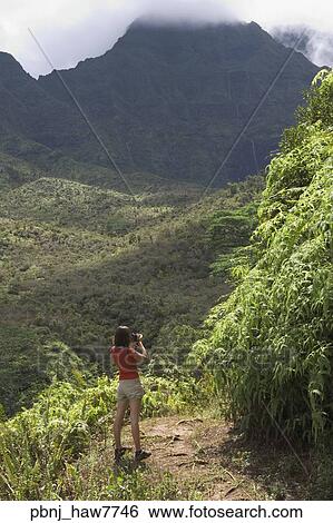 High angle view of woman looking out over lush jungle valley View Large Photo Image Stock Photograph - High angle view of woman looking out over lush jungle valley. Fotosearch