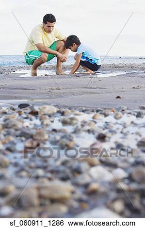 Hispanic father and son looking in tide pool at beach View Large Photo Image Stock Photograph - Hispanic father and son looking in tide pool at beach. Fotosearch