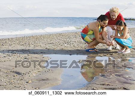 Hispanic grandmother, mother and daughter looking in tide pool at beach View Large Photo Image Stock Image - Hispanic grandmother, mother and daughter looking in tide pool at beach. Fotosearch