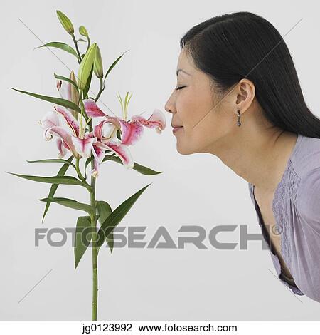 Profile of Asian woman smelling flowers View Large Photo Image Stock Image - Profile of Asian woman smelling flowers. Fotosearch