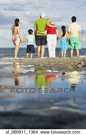 Rear view of family holding hands at beach View Large Photo Image Picture - Rear view of family holding hands at beach. Fotosearch