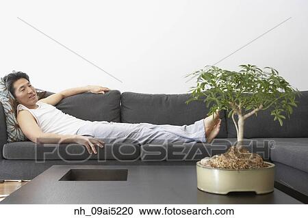 Asian man looking at bonsai tree View Large Photo Image Stock Image - Asian man looking at bonsai tree. Fotosearch