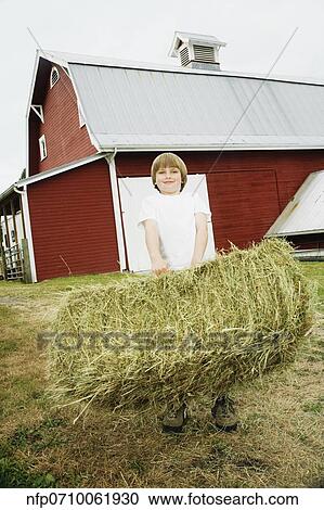 Boy holding bale of hay View Large Photo Image Stock Image - Boy holding bale of hay. Fotosearch