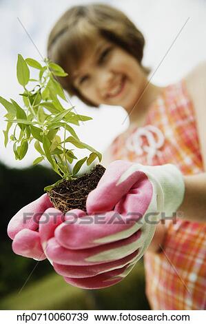 Girl holding small plant View Large Photo Image Stock Photo - Girl holding small plant. Fotosearch
