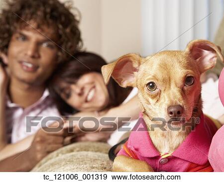 Multi-ethnic couple and small dog View Large Photo Image Stock Photo - Multi-ethnic couple and small dog. Fotosearch