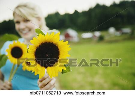 Woman holding sunflowers on farm View Large Photo Image Stock Image - Woman holding sunflowers on farm. Fotosearch
