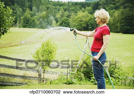 Woman watering plants with hose View Large Photo Image Stock Image - Woman watering plants with hose. Fotosearch