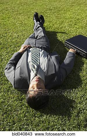 South American businessman laying in grass View Large Photo Image Stock Image - South American businessman laying in grass. Fotosearch