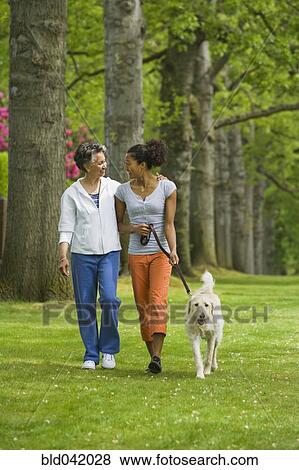 Stock Photo - African American mother and adult daughter walking dog. Fotosearch