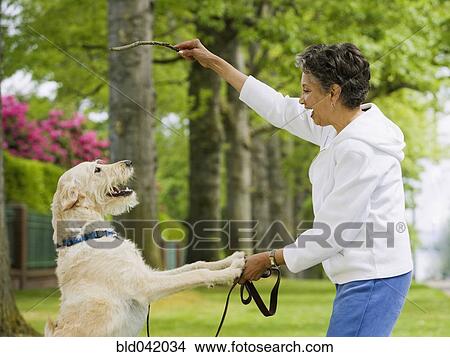 Picture - African American woman playing with dog. Fotosearch