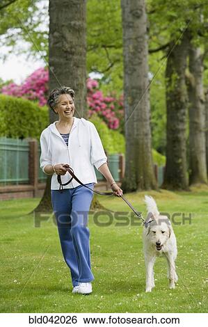 Stock Photograph - African American woman walking dog. Fotosearch