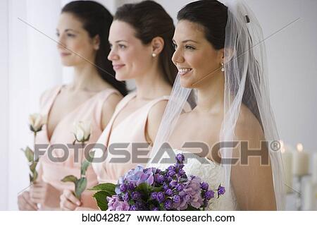 Hispanic bride and bridesmaids in row View Large Photo Image Stock Photo - Hispanic bride and bridesmaids in row. Fotosearch