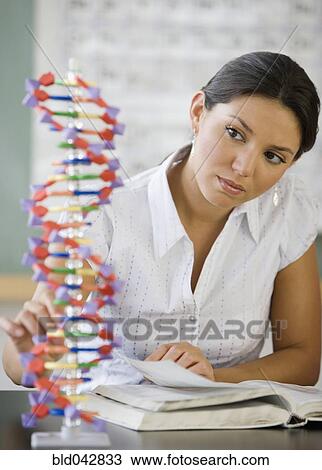 Hispanic woman looking at DNA model View Large Photo Image Stock Image - Hispanic woman looking at DNA model. Fotosearch