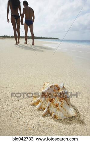 South American couple walking on beach View Large Photo Image Stock Image - South American couple walking on beach. Fotosearch