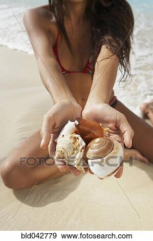 Stock Photo - South American woman holding seashells. Fotosearch