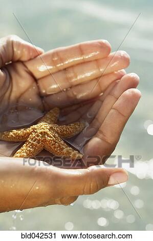 Stock Image - South American woman holding starfish. Fotosearch