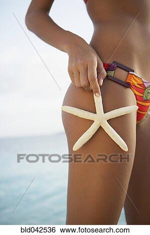 South American woman holding starfish on thigh View Large Photo Image Stock Photograph - South American woman holding starfish on thigh. Fotosearch