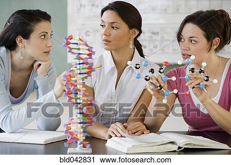Stock Image - Three young women in science class. Fotosearch