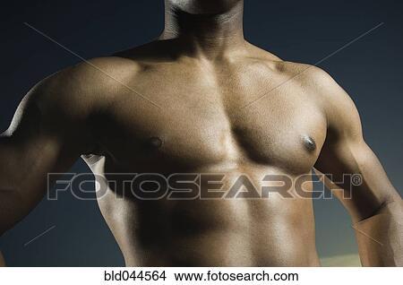 Picture - African American man’s bare chest. Fotosearch