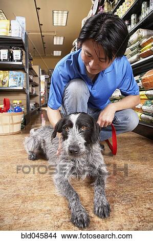 Asian man petting dog in pet store View Large Photo Image Picture - Asian man petting dog in pet store. Fotosearch